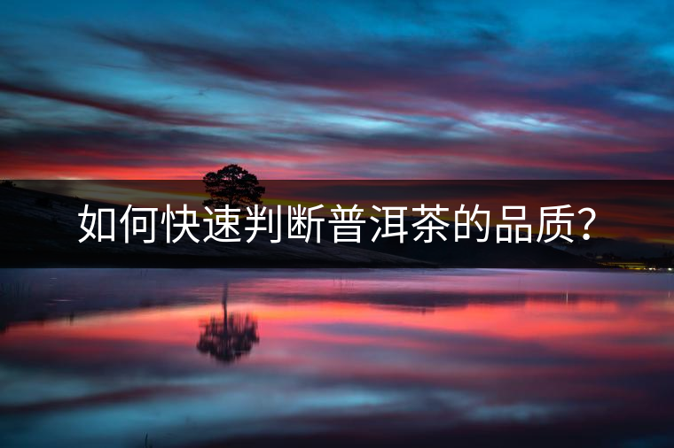 如何快速判斷普洱茶的品質(zhì)？