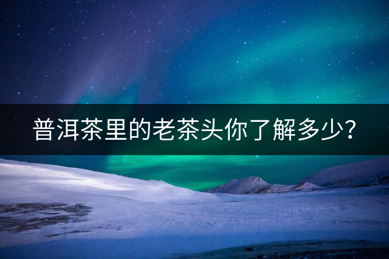 普洱茶里的老茶頭你了解多少？