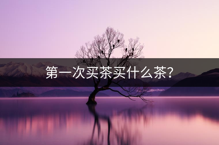 第一次買(mǎi)茶買(mǎi)什么茶？