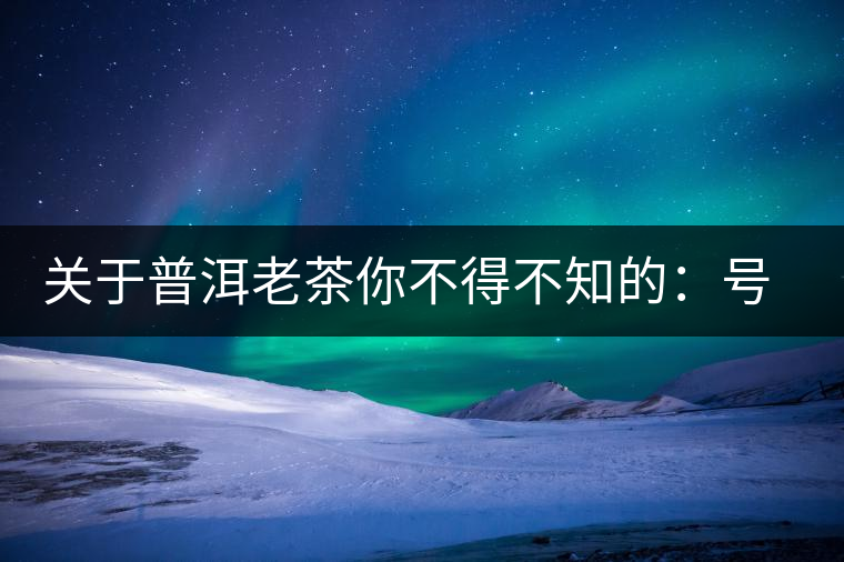 關(guān)于普洱老茶你不得不知的：號(hào)級(jí)茶、印級(jí)茶、七子餅茶