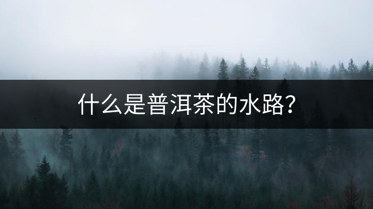 什么是普洱茶的水路？