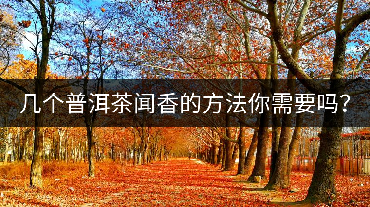 幾個(gè)普洱茶聞香的方法你需要嗎？