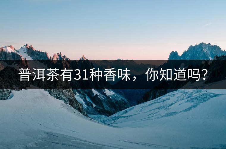 普洱茶有31種香味，你知道嗎？