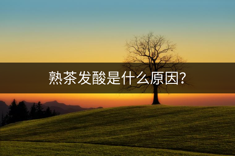 熟茶發(fā)酸是什么原因？