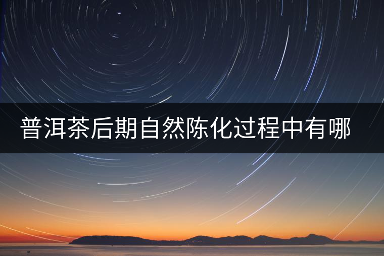 普洱茶后期自然陳化過程中有哪些變化？