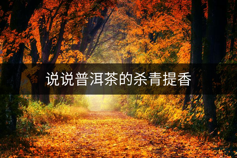 說(shuō)說(shuō)普洱茶的殺青提香 說(shuō)說(shuō)普洱茶的殺青提香