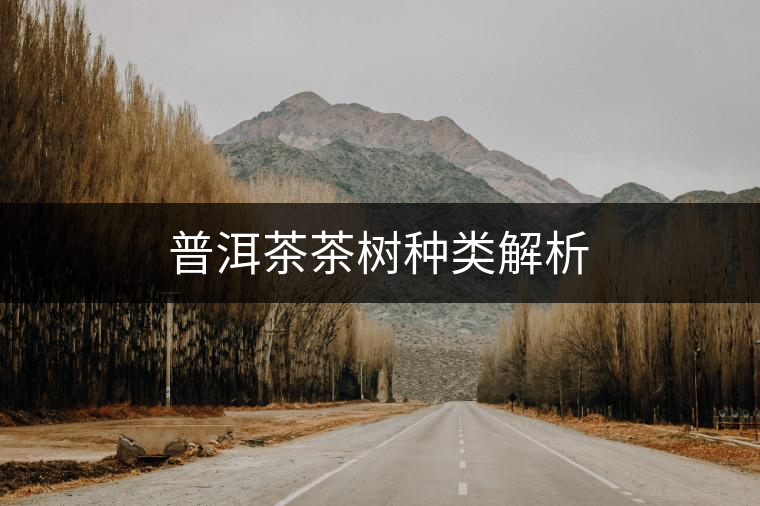普洱茶茶樹(shù)種類(lèi)解析