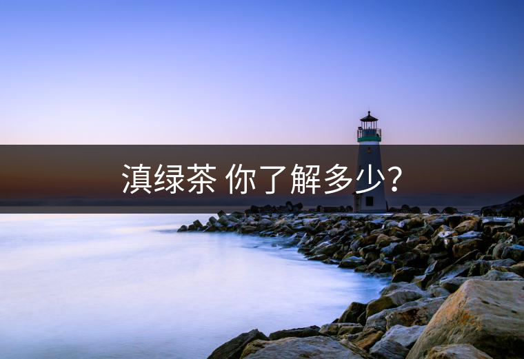滇綠茶 你了解多少？
