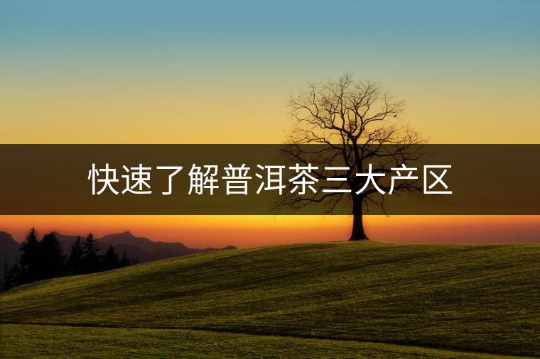 快速了解普洱茶三大產(chǎn)區(qū) 快速了解普洱茶三大產(chǎn)區(qū)
