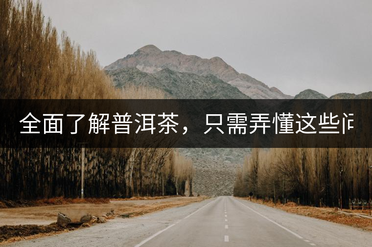 全面了解普洱茶，只需弄懂這些問題！