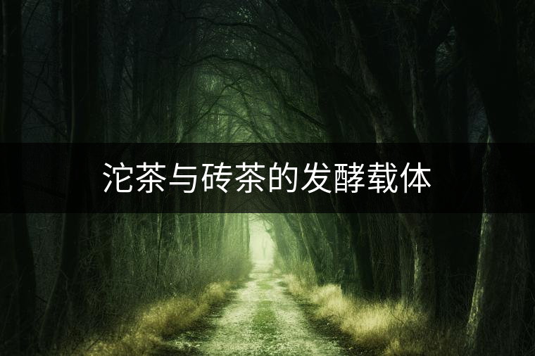 沱茶與磚茶的發(fā)酵載體 沱茶與磚茶的發(fā)酵載體