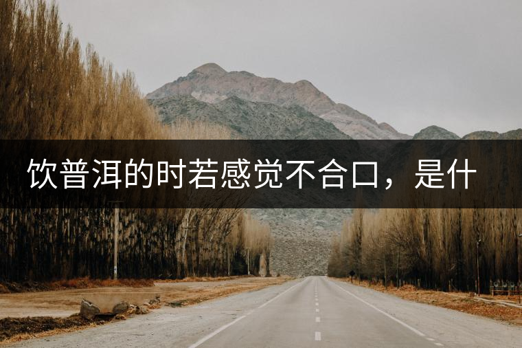 飲普洱的時若感覺不合口，是什么原呢？