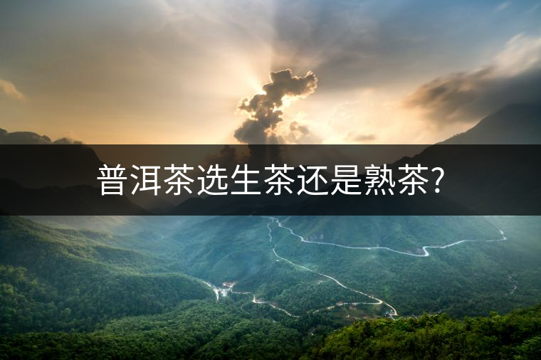 普洱茶選生茶還是熟茶? 普洱茶選生茶還是熟茶?
