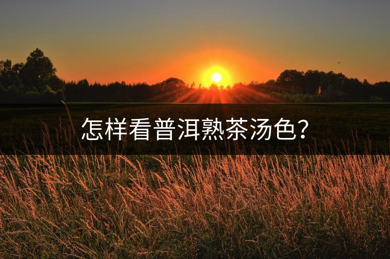怎樣看普洱熟茶湯色？