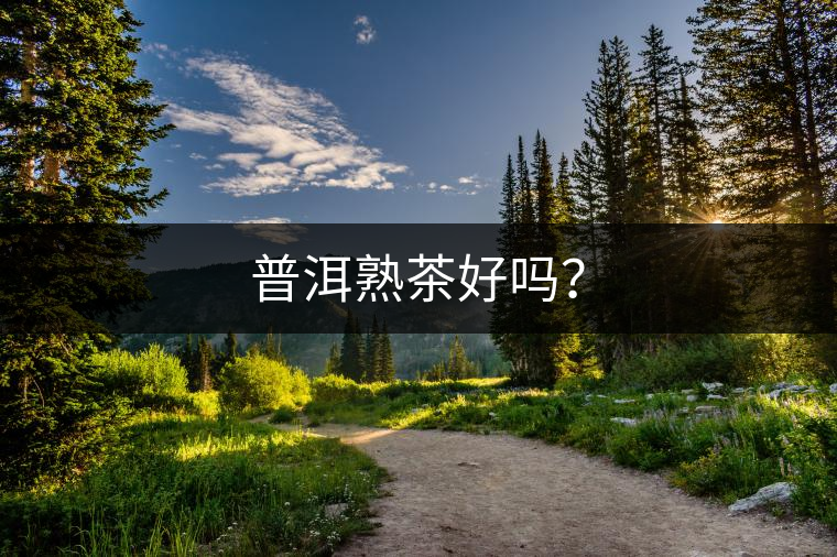 普洱熟茶好嗎? 普洱熟茶好嗎?