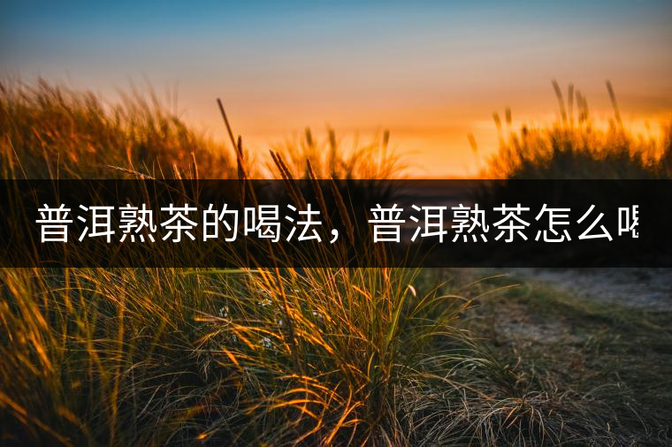 普洱熟茶的喝法，普洱熟茶怎么喝？