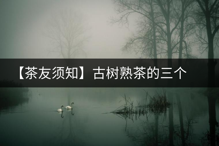【茶友須知】古樹熟茶的三個誤區(qū)
