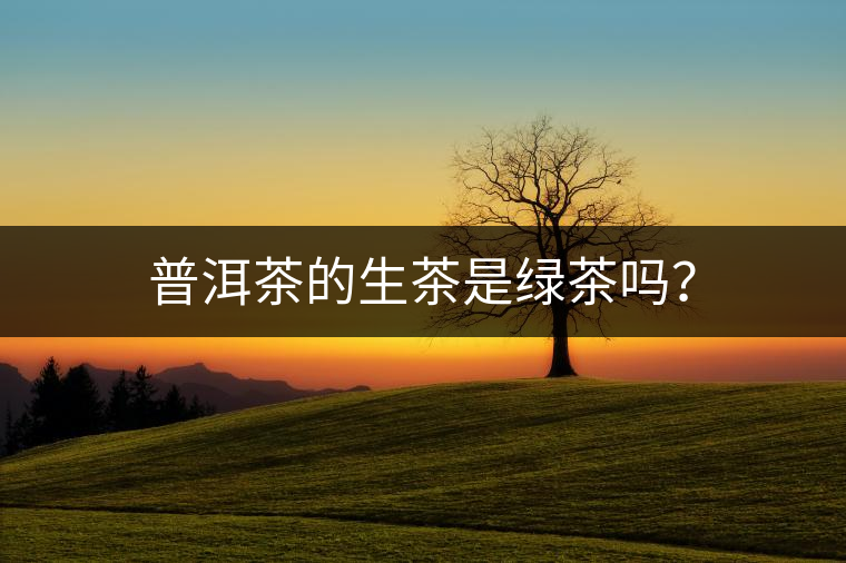 普洱茶的生茶是綠茶嗎？