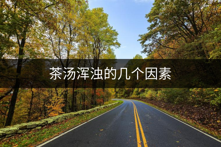 茶湯渾濁的幾個(gè)因素 茶湯渾濁的幾個(gè)因素