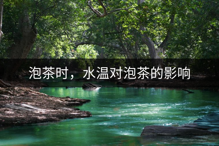 泡茶時，水溫對泡茶的影響
