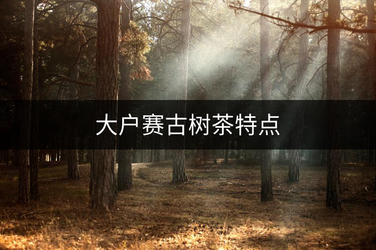 大戶賽古樹茶特點 大戶賽古樹茶特點