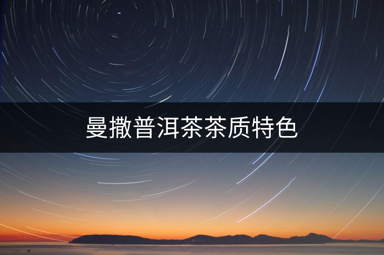 曼撒普洱茶茶質特色