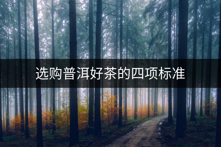 選購普洱好茶的四項(xiàng)標(biāo)準(zhǔn)