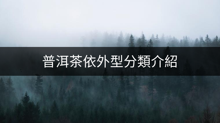 普洱茶依外型分類介紹