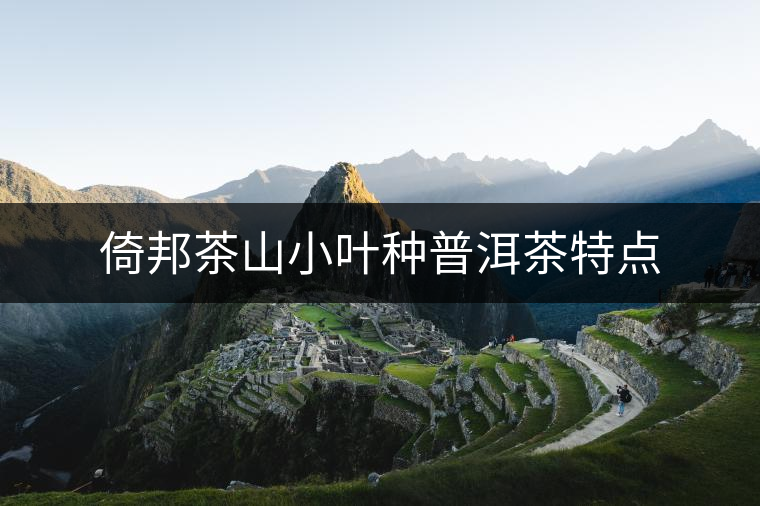 倚邦茶山小葉種普洱茶特點(diǎn) 倚邦茶山小葉種普洱茶特點(diǎn)