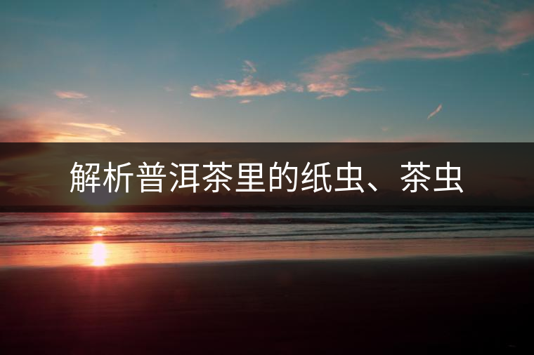 解析普洱茶里的紙蟲(chóng)、茶蟲(chóng)