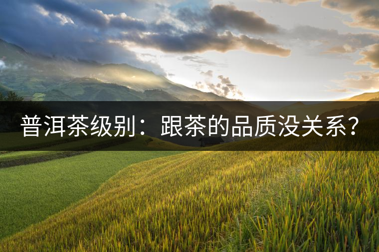 普洱茶級(jí)別：跟茶的品質(zhì)沒關(guān)系？