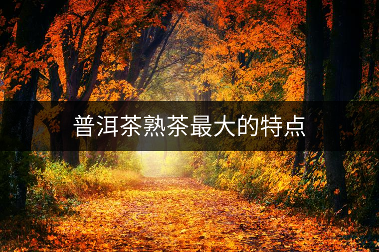 普洱茶熟茶最大的特點(diǎn) 普洱茶熟茶最大的特點(diǎn)