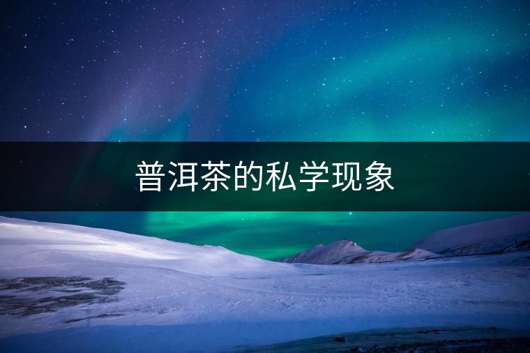 普洱茶的私學現象 普洱茶的私學現象