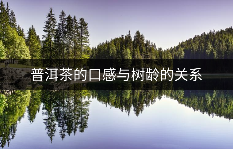 普洱茶的口感與樹齡的關(guān)系 普洱茶的口感與樹齡的關(guān)系