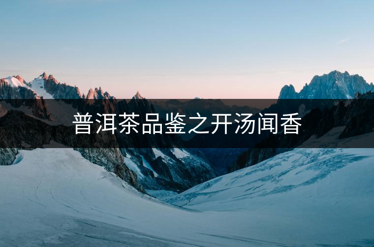 普洱茶品鑒之開湯聞香 普洱茶品鑒之開湯聞香