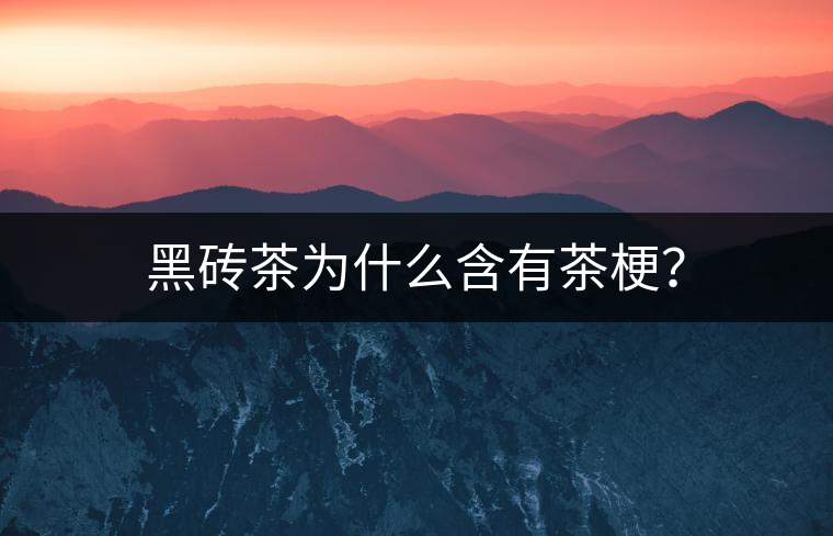 黑磚茶為什么含有茶梗？