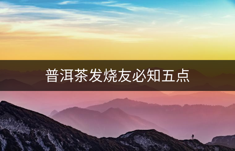 普洱茶發(fā)燒友必知五點 普洱茶發(fā)燒友必知五點