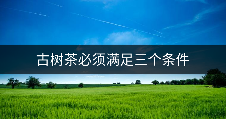 古樹(shù)茶必須滿足三個(gè)條件 古樹(shù)茶必須滿足三個(gè)條件