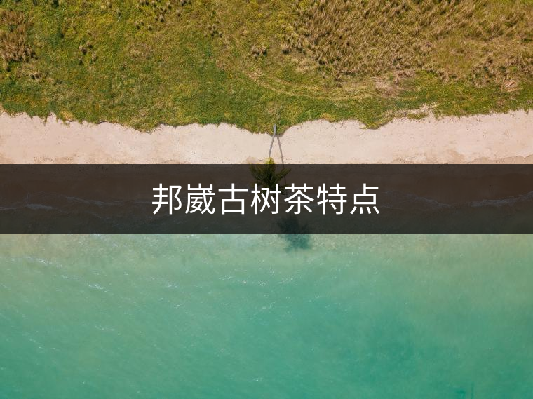 邦崴古樹(shù)茶特點(diǎn) 邦崴古樹(shù)茶特點(diǎn)