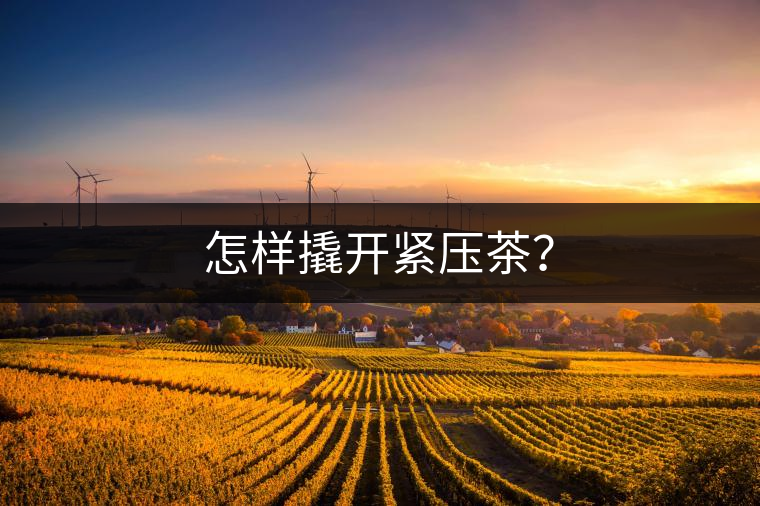 怎樣撬開(kāi)緊壓茶？