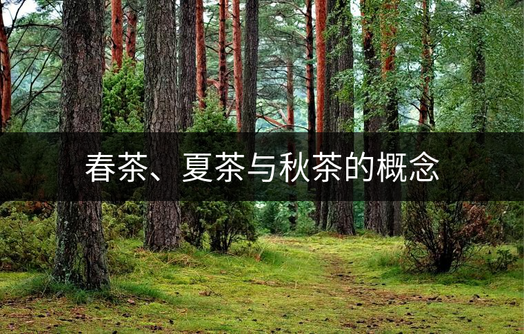 春茶、夏茶與秋茶的概念