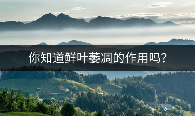 你知道鮮葉萎凋的作用嗎？