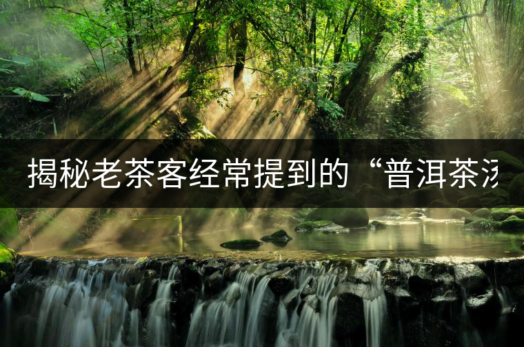 揭秘老茶客經常提到的“普洱茶湯感 ” 揭秘老茶客經常提到的“普洱茶湯感 ”