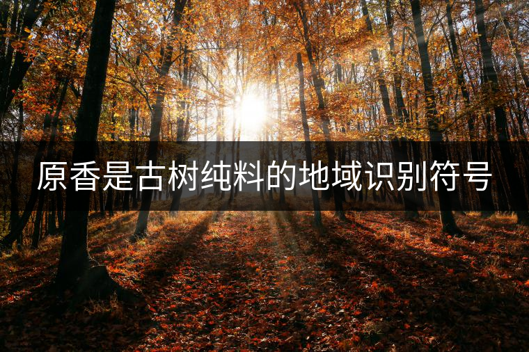 原香是古樹純料的地域識別符號 原香是古樹純料的地域識別符號
