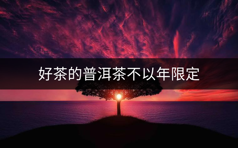 好茶的普洱茶不以年限定 好茶的普洱茶不以年限定