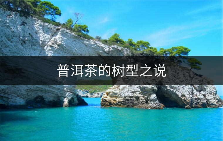 普洱茶的樹型之說