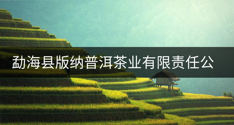 勐?？h版納普洱茶業(yè)有限責(zé)任公司