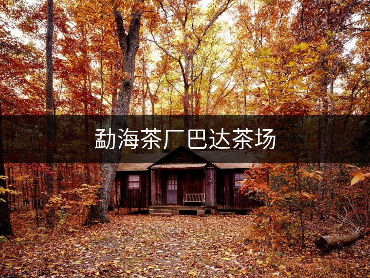 勐海茶廠巴達(dá)茶場 勐海茶廠巴達(dá)茶場