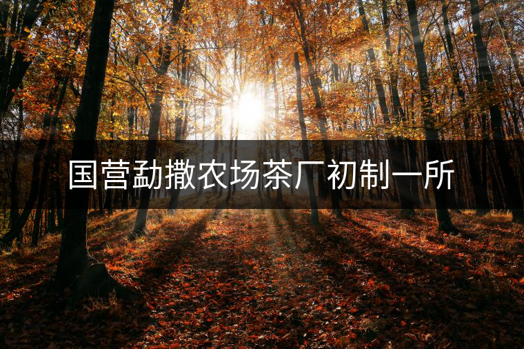 國營勐撒農(nóng)場茶廠初制一所 國營勐撒農(nóng)場茶廠初制一所