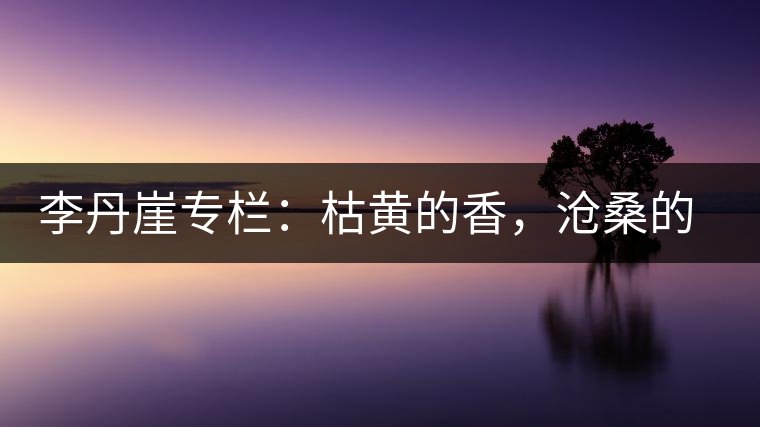 李丹崖專欄：枯黃的香，滄桑的暖